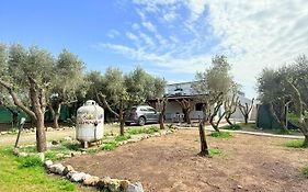 La Perla Di Dea